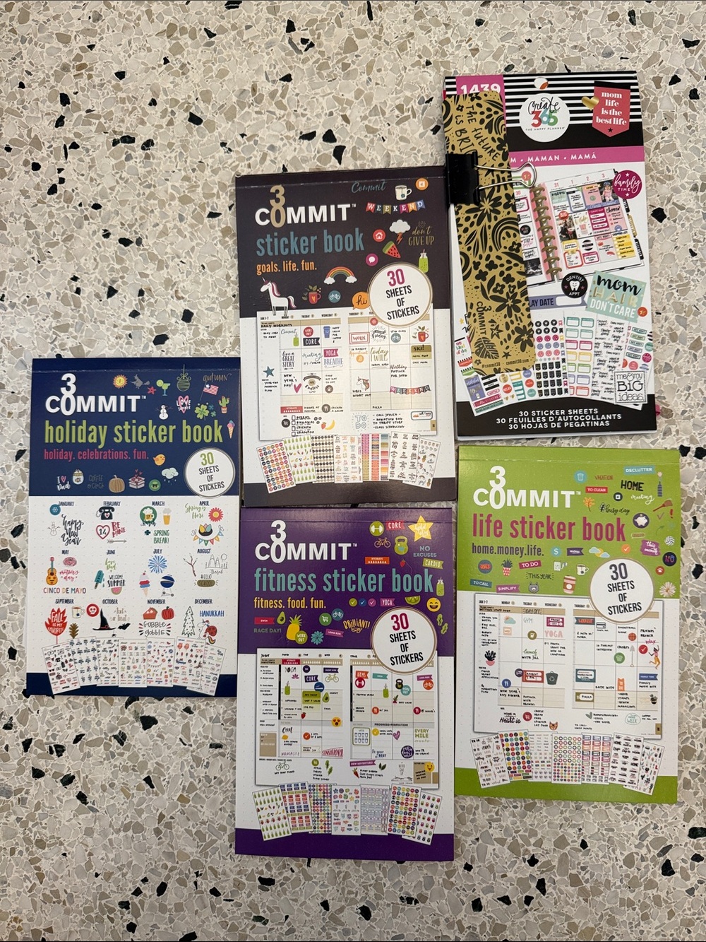 Life & Activity Sticker Book Set – Assorted Colors